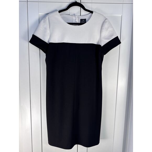 Adrianna Papell Dresses & Skirts - Adrianna Papell Colorblock Dress Black White Sheath Career Cocktail Size 16